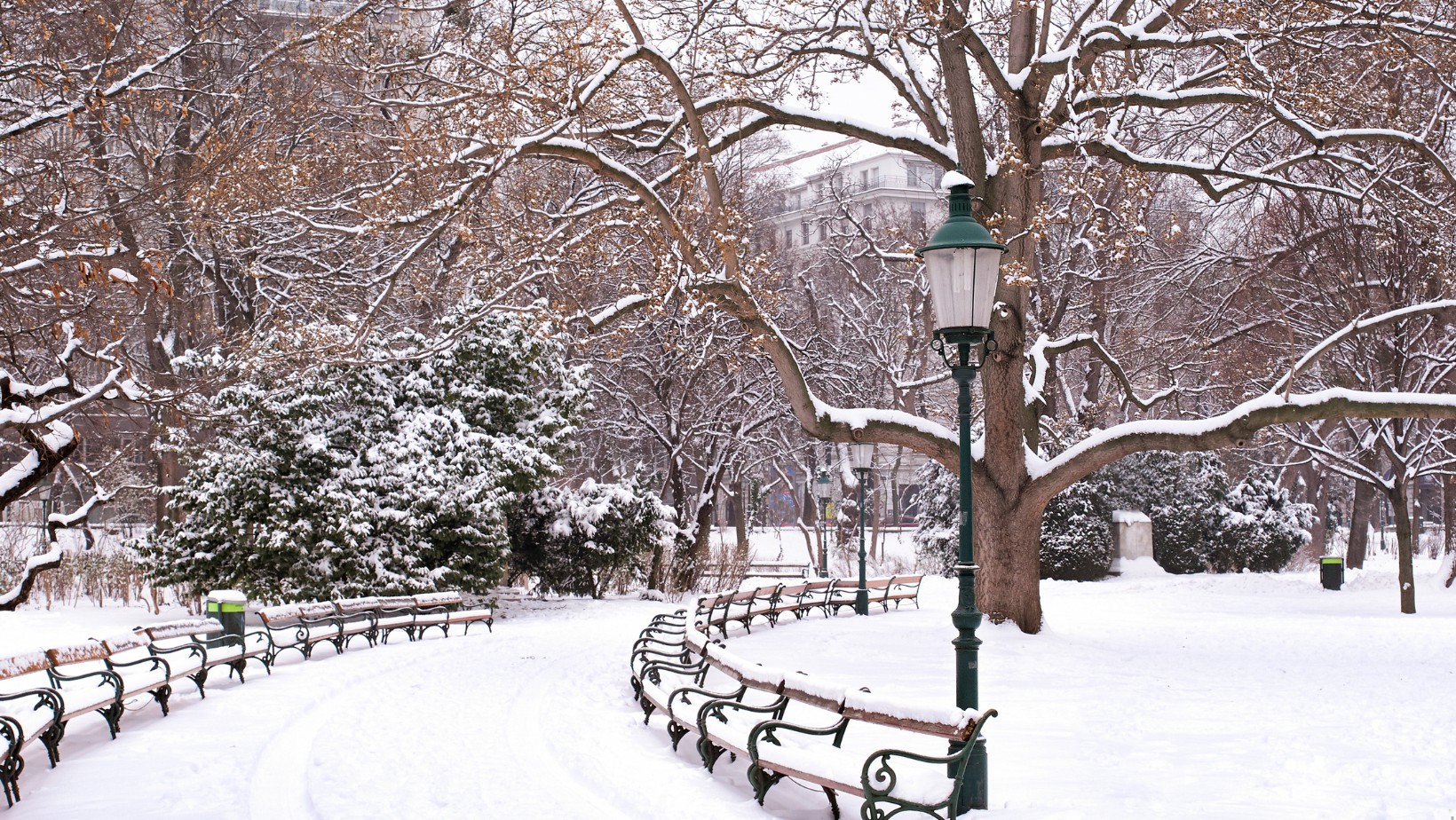 Zdjęcie Srogi atak zimy! To wydarzy się już w tym tygodniu #1