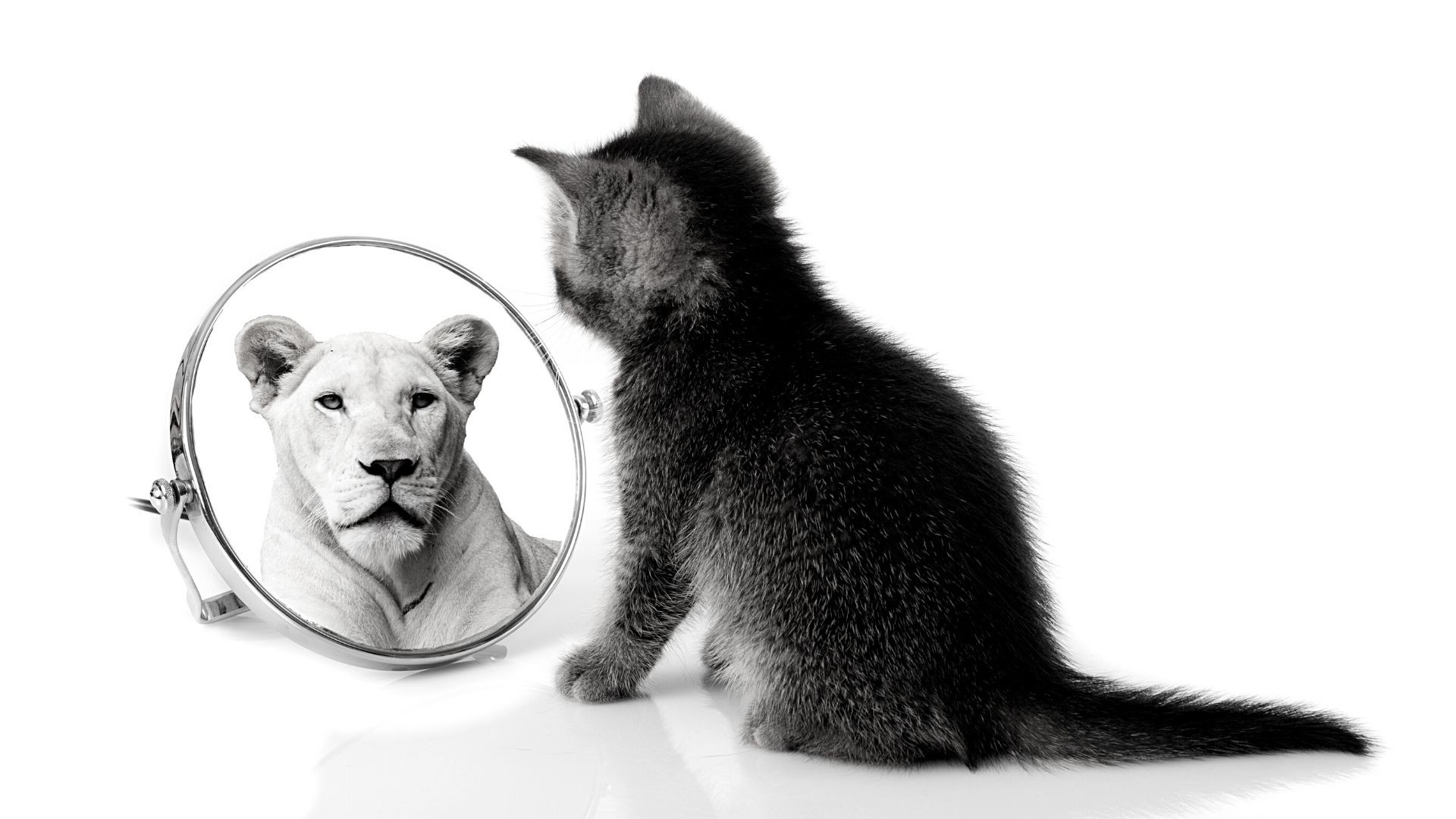 Jak odnaleźć w sobie wewnętrzną siłę? W jaki sposób się rozwijać i wzmacniać?