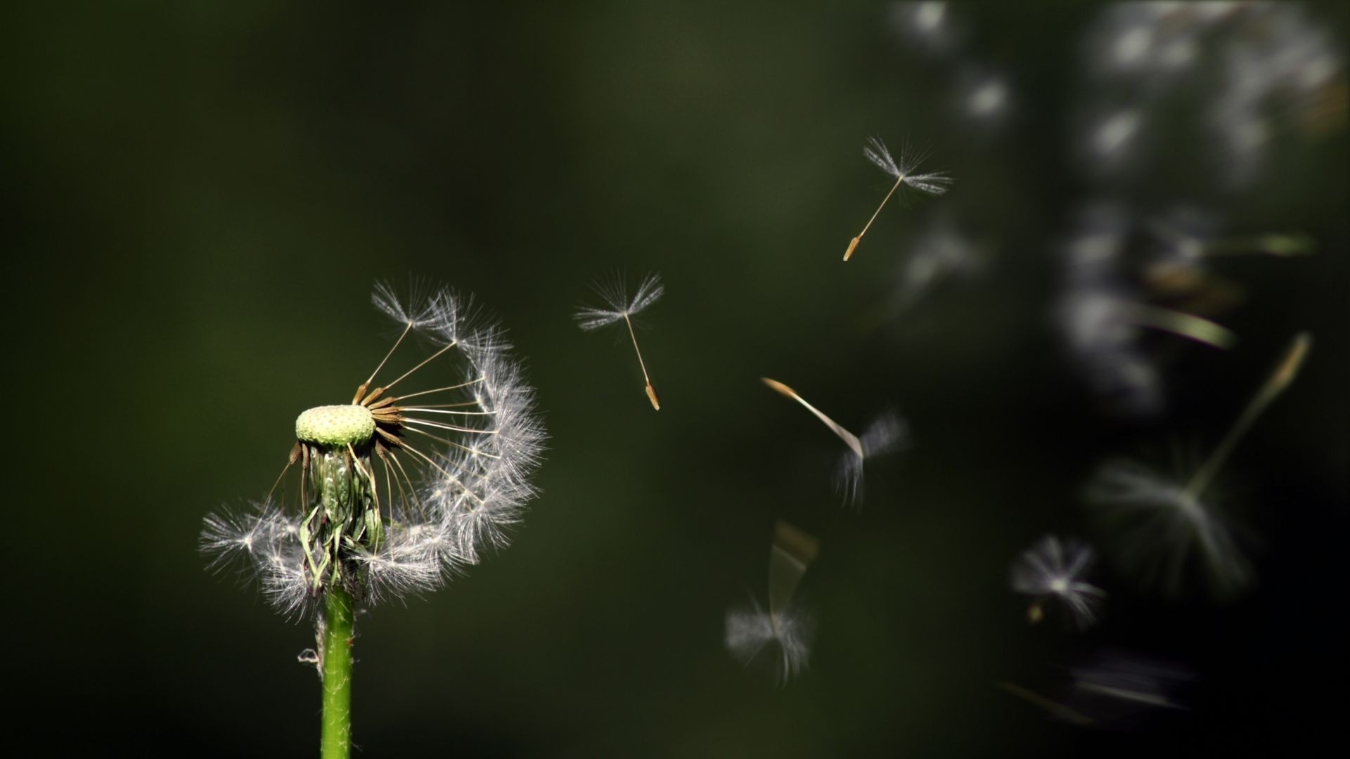 Jakie życiowe prawdy rozumiemy dopiero po 50tce?