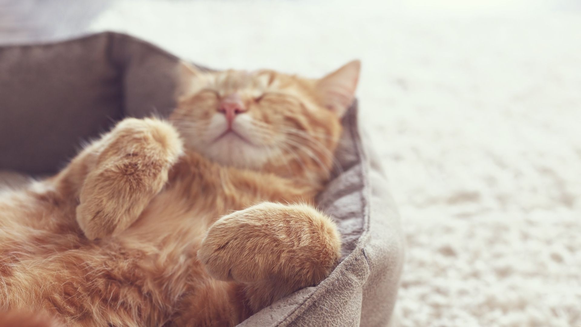 Co mówi o Tobie pozycja, w której śpisz?