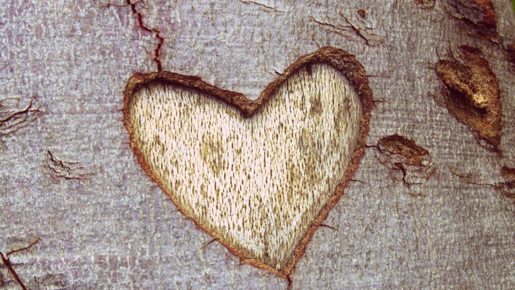 Zdjęcie Imiona a przyciąganie: Czy Twoje imię przyciąga miłość? #1