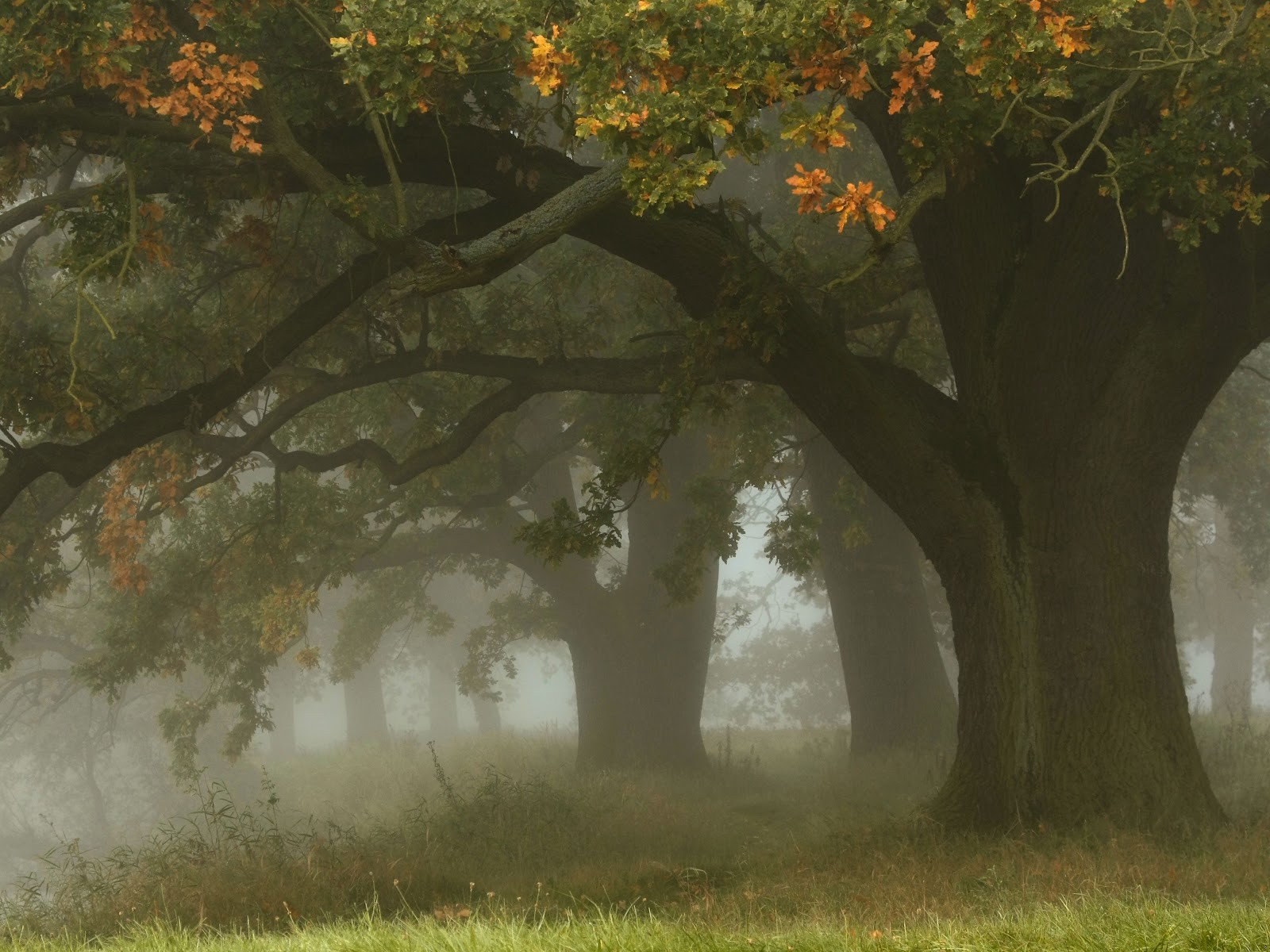 Zwykle ludzie umierają wtedy, kiedy się tego najmniej spodziewają.