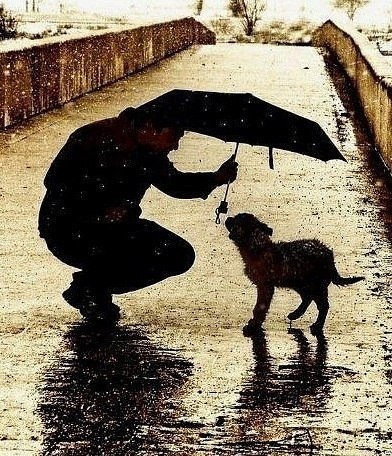 Można z łatwością poznać charakter człowieka po tym, jak traktuje …