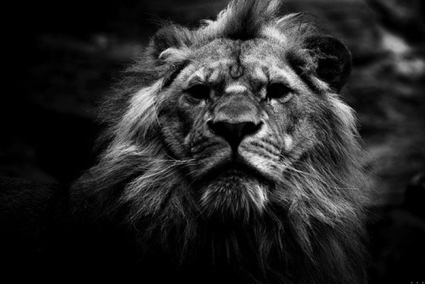 Jedna z najtrudniejszych życiowych walk – kiedy serce krzyczy „walcz” …