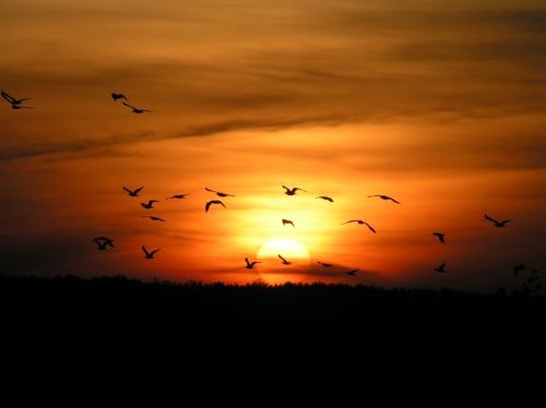 W życiu musisz walczyć nie o to czego pragniesz, tylko …