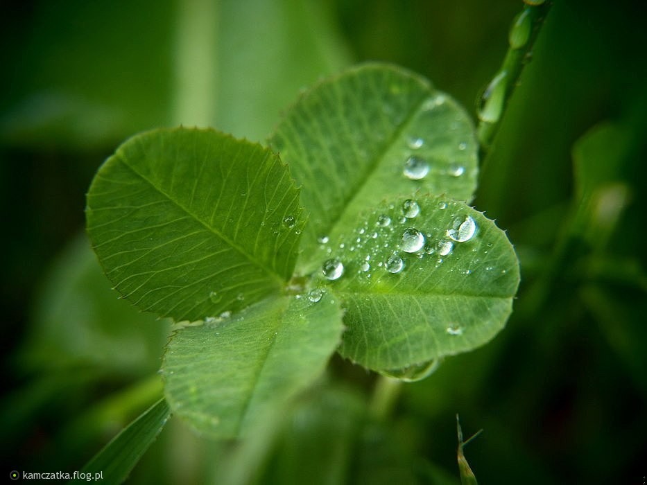 Nie uszczęśliwiaj innych na siłę… To Ty masz być szczęśliwy …
