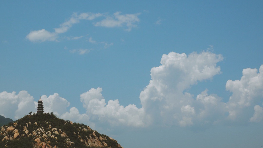 W niezgodnym domu kury zdychają.