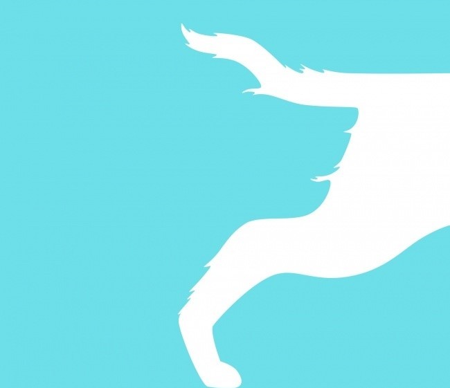 Zdjęcie Psychotest – sprawdź, co ujrzany obiekt mówi o Twoim podejściu do nowych sytuacji! #2