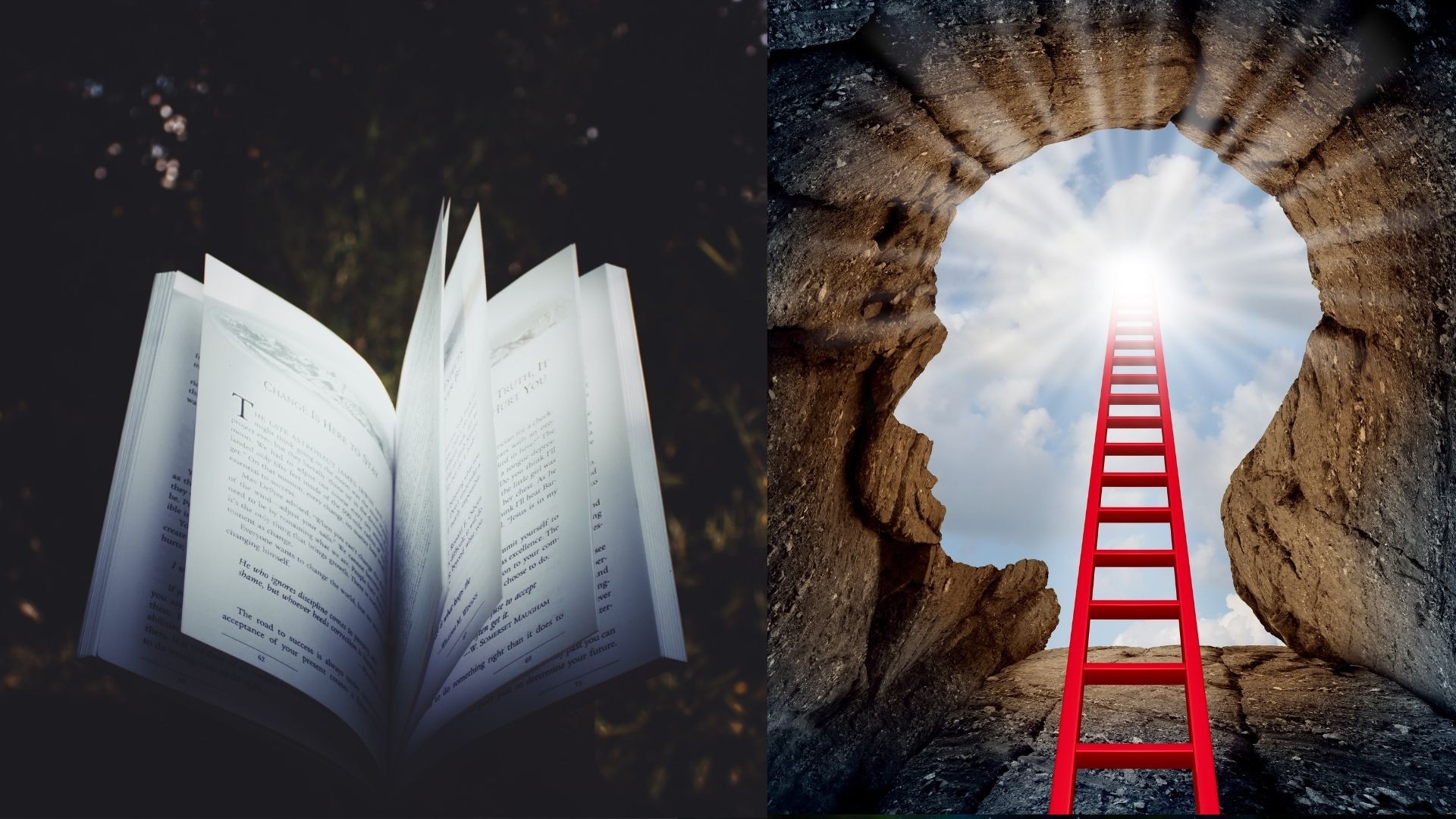 7 powodów, dla których powinniśmy czytać książki każdego dnia