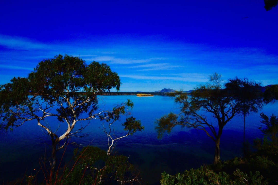 Gdy umiera starzec, płonie cała biblioteka.