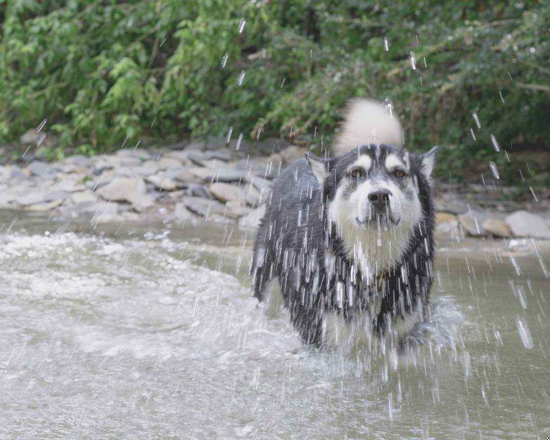 Miłość łagodzi ten okrutny świat.