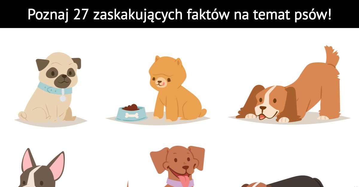 Poznaj 27 zaskakujących faktów na temat psów!