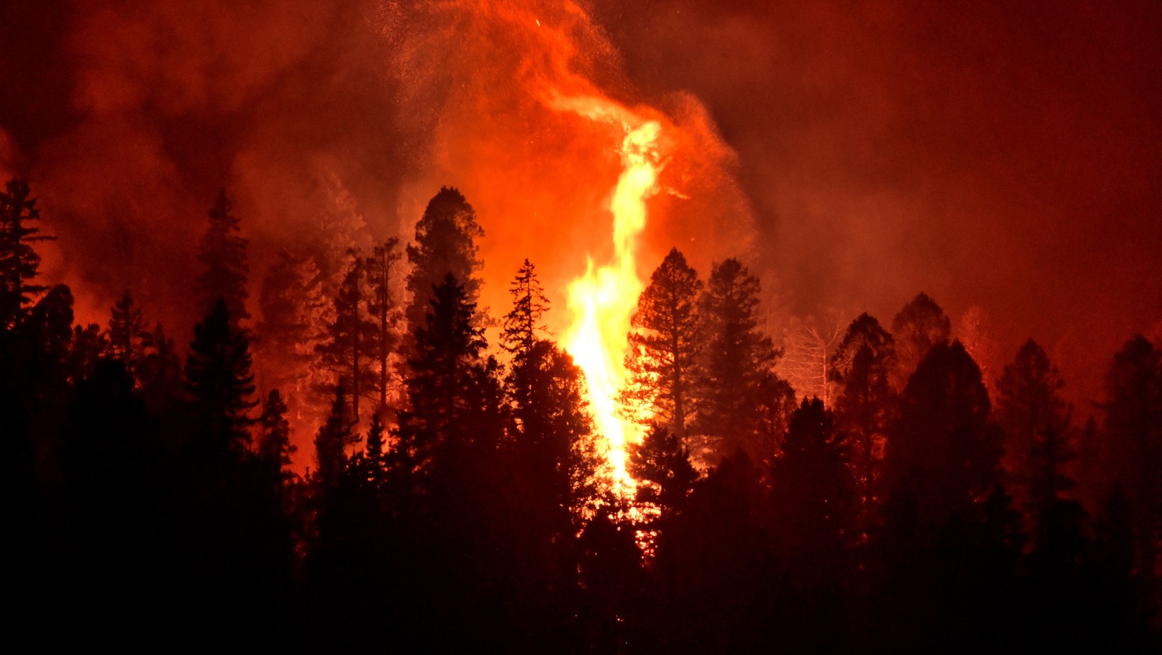 Kreta w ogniu! Polscy turyści ewakuowani z hoteli!