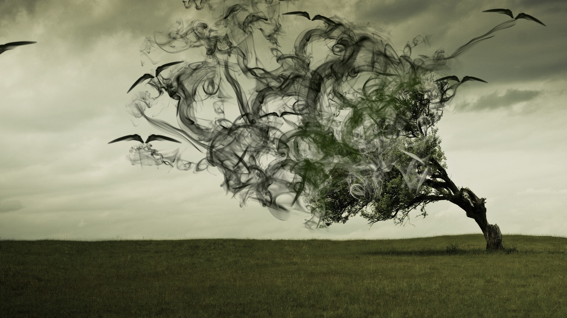 Widzę wiele gwiazd, ale ta jedna jest dla mnie wyjątkowa