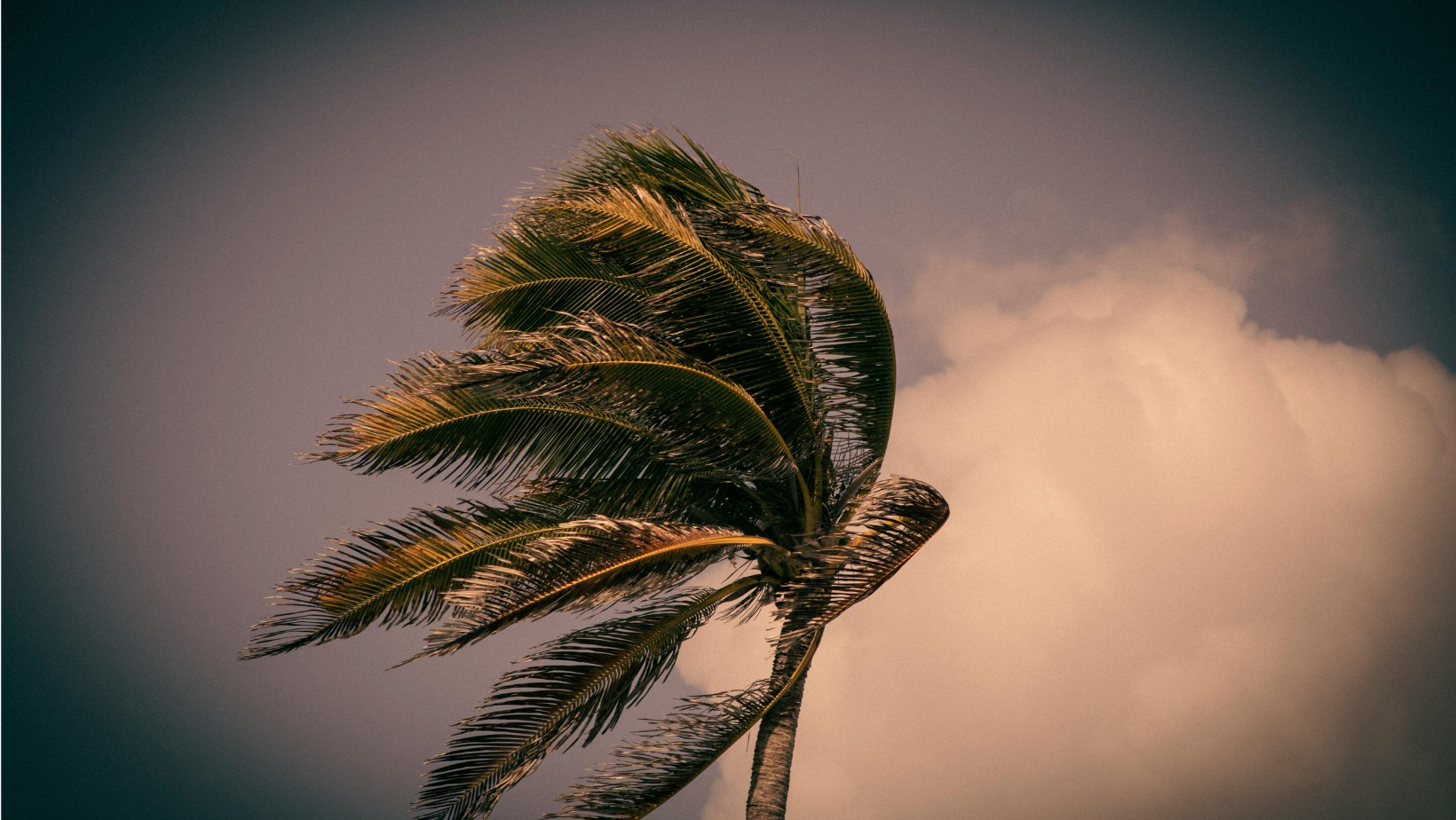 Apokaliptyczna pogoda na południu Europy – „Burza szatana” uderza w Hiszpanię