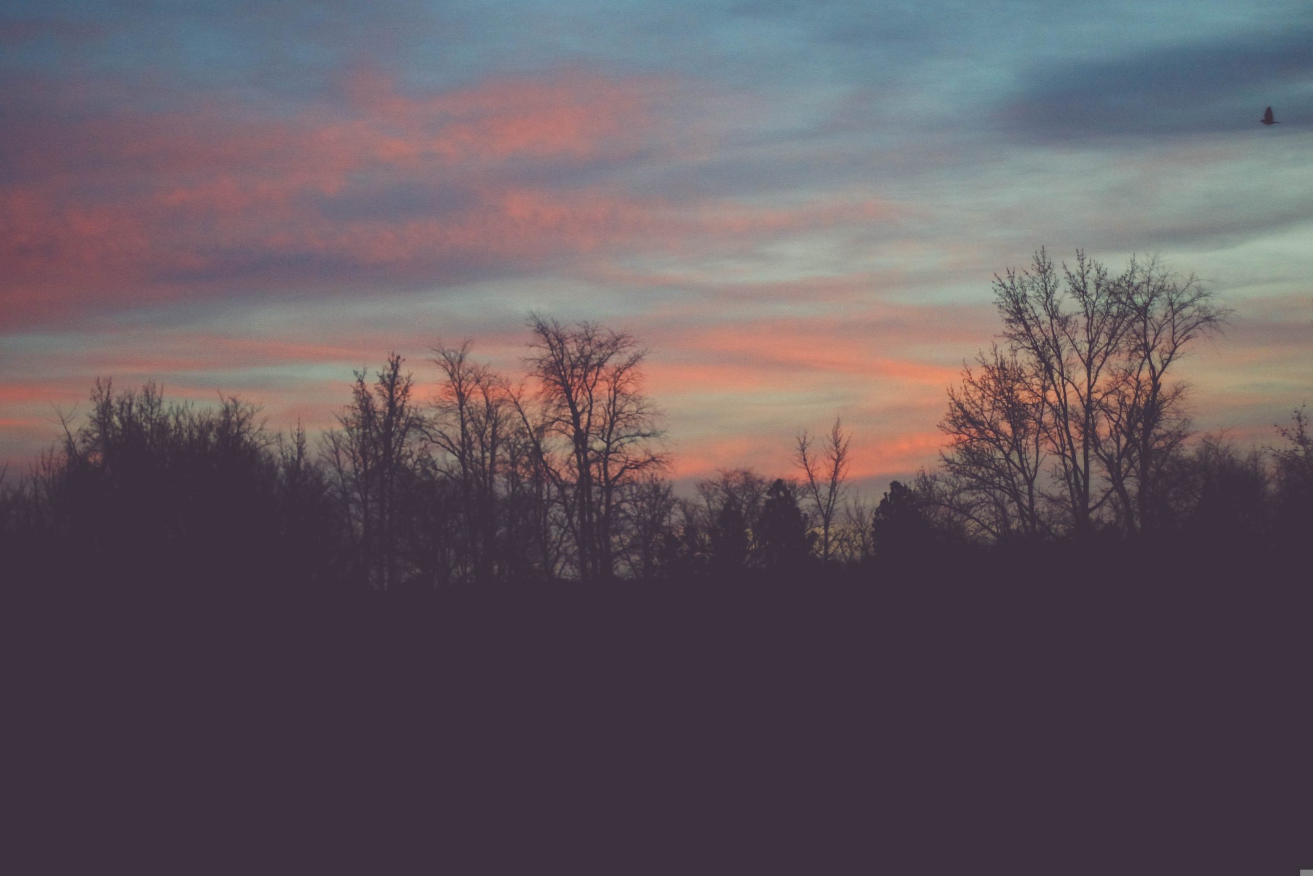 Niektórz ludzie przychodzą do Ciebie tylko wtedy gdy oleją ich …