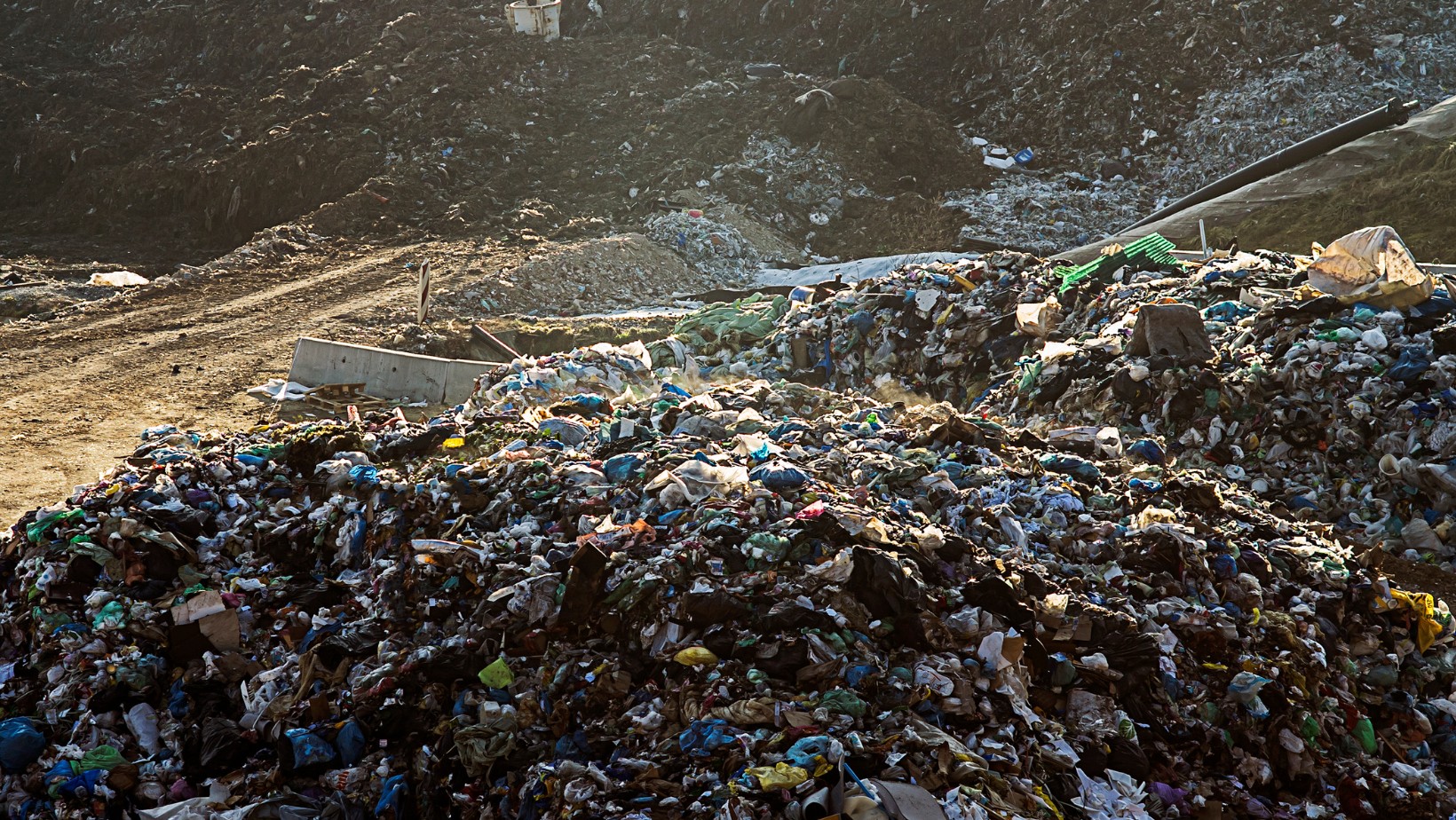 Zdjęcie „Naukowcy odkryli, że znajdują się one wszędzie”! Niepokojące odkrycie badaczy! #1