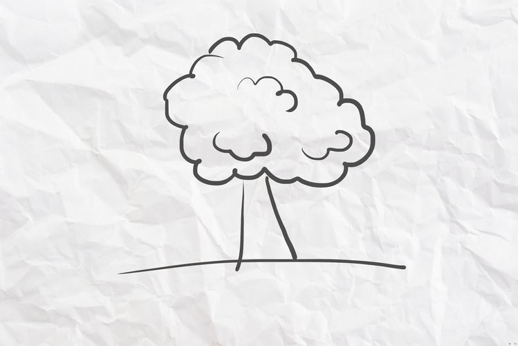 Zdjęcie Chcesz się czegoś o sobie dowiedzieć? Narysuj drzewo i sprawdź odpowiedzi #2