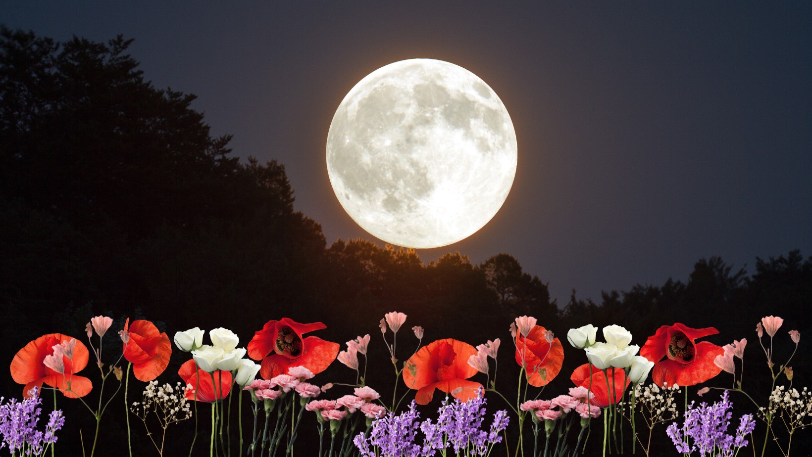 Zdjęcie Kwiatowy Księżyc na niebie! Co przyniesie Majowa Pełnia? #1