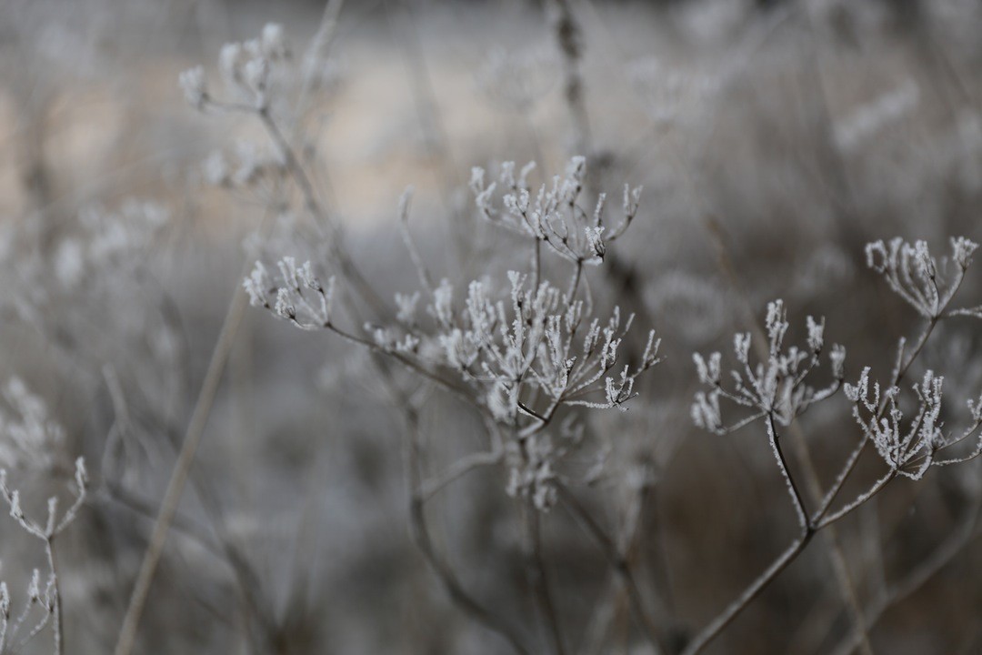Nic nie jest tak proste, jak się wydaje.