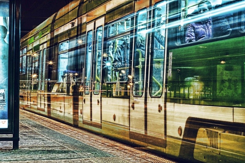 Nienawidzę wolności – zmusza do dokonywania wyboru.