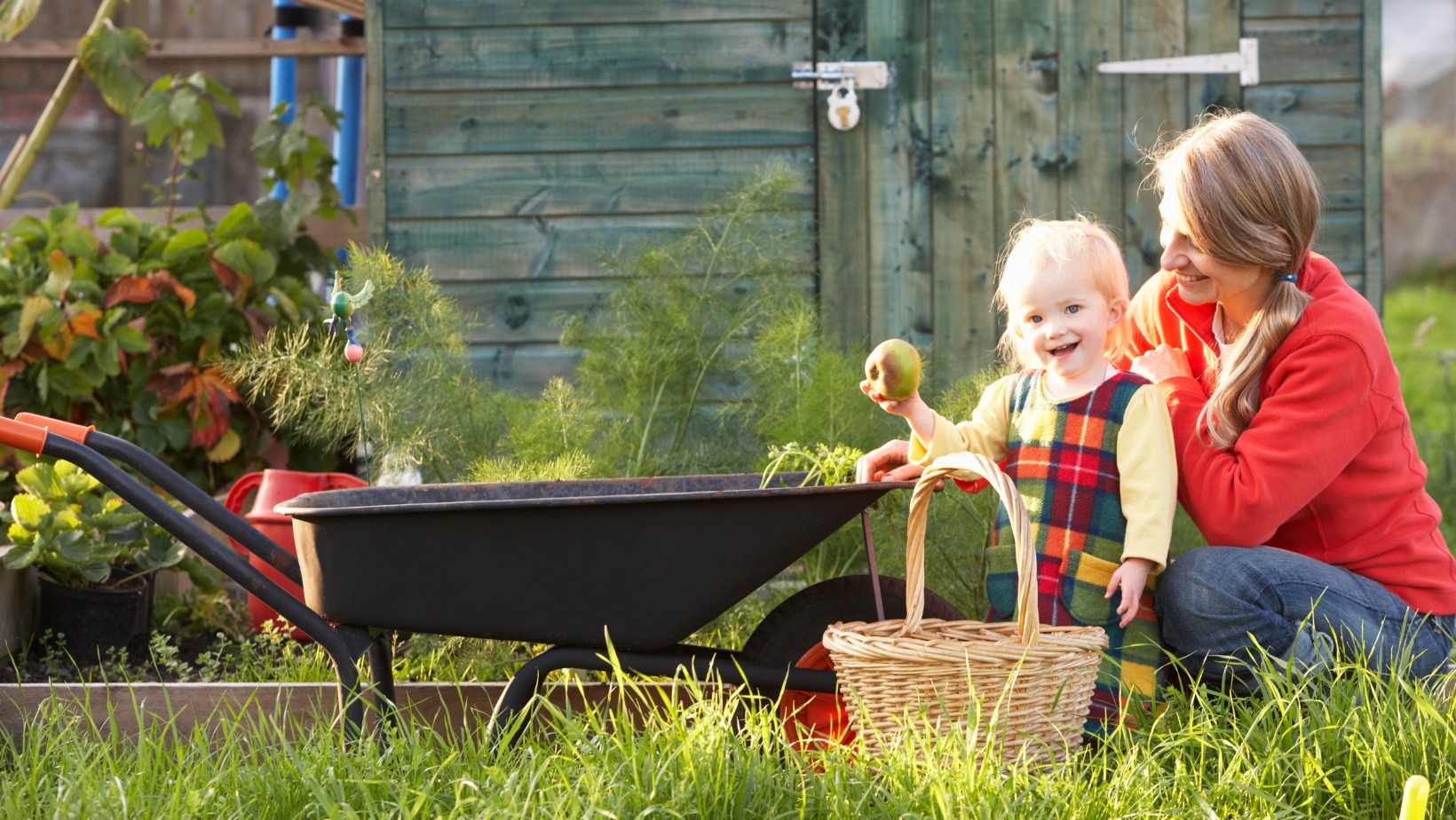 Tych rzeczy nie wolno robić na działkach?! Kara może wynieść nawet 1500 złotych!