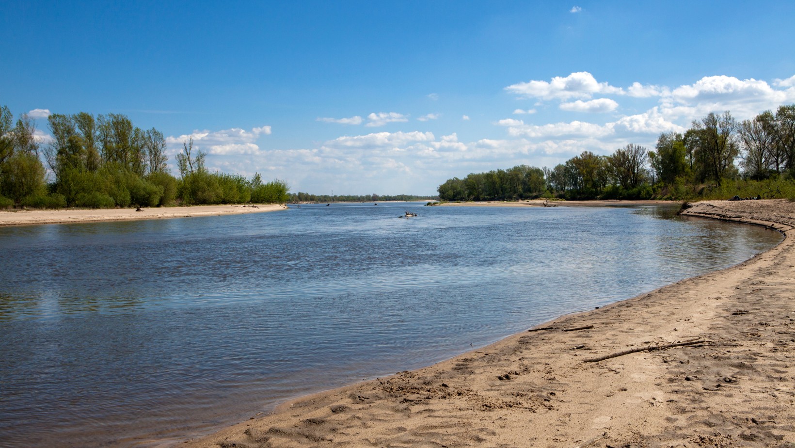 Horror w Kaliszu. Nie żyje matka, która ratowała swoje dziecko!