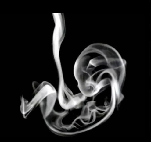 Zdjęcie Co widzisz jako pierwsze? Ten test zdradzi, jakim jesteś człowiekiem! #1