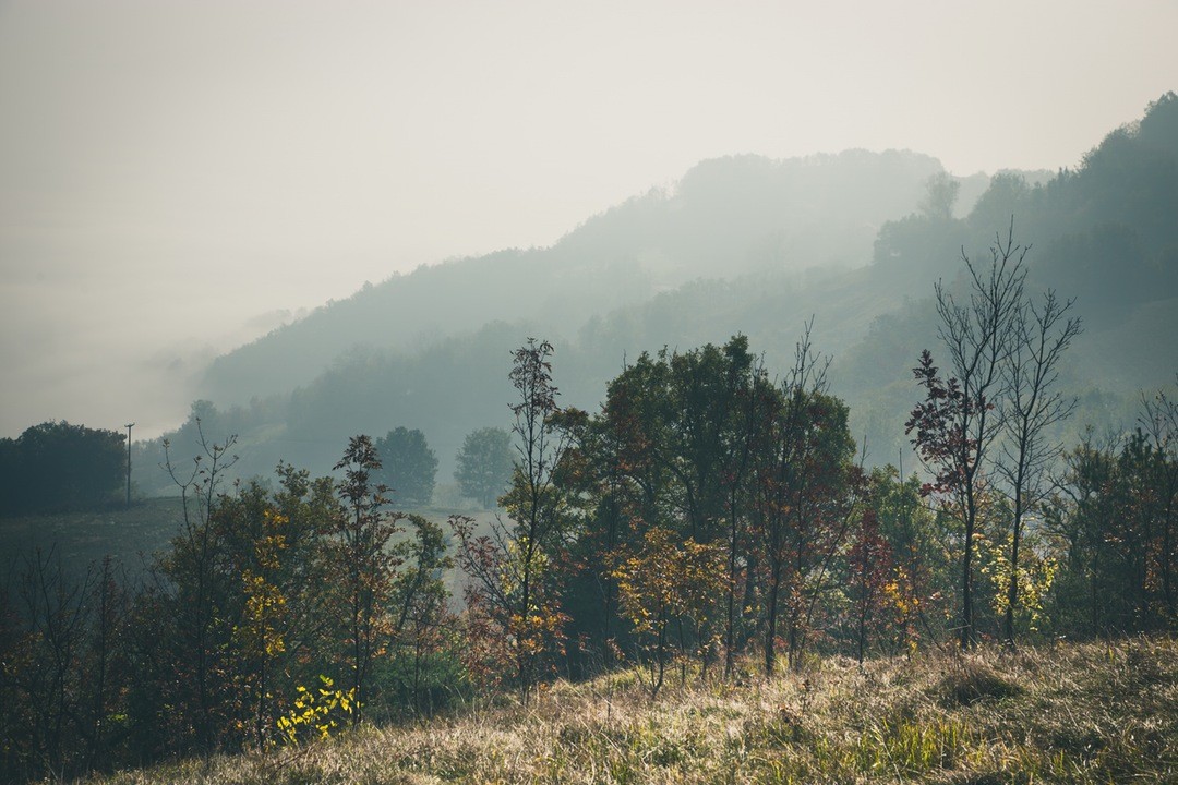 Tak pewne jak truskawka u niedźwiedzia w tyłku.