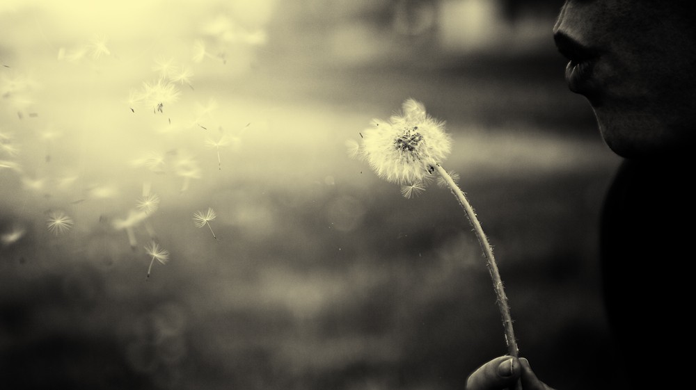 Ludziom przydałby się czasem jeden dzień wolny od życia…