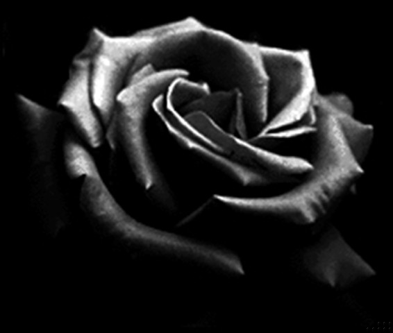 Możesz mnie nienawidzić ze wszystkich sił, możesz mną gardzić, ale …