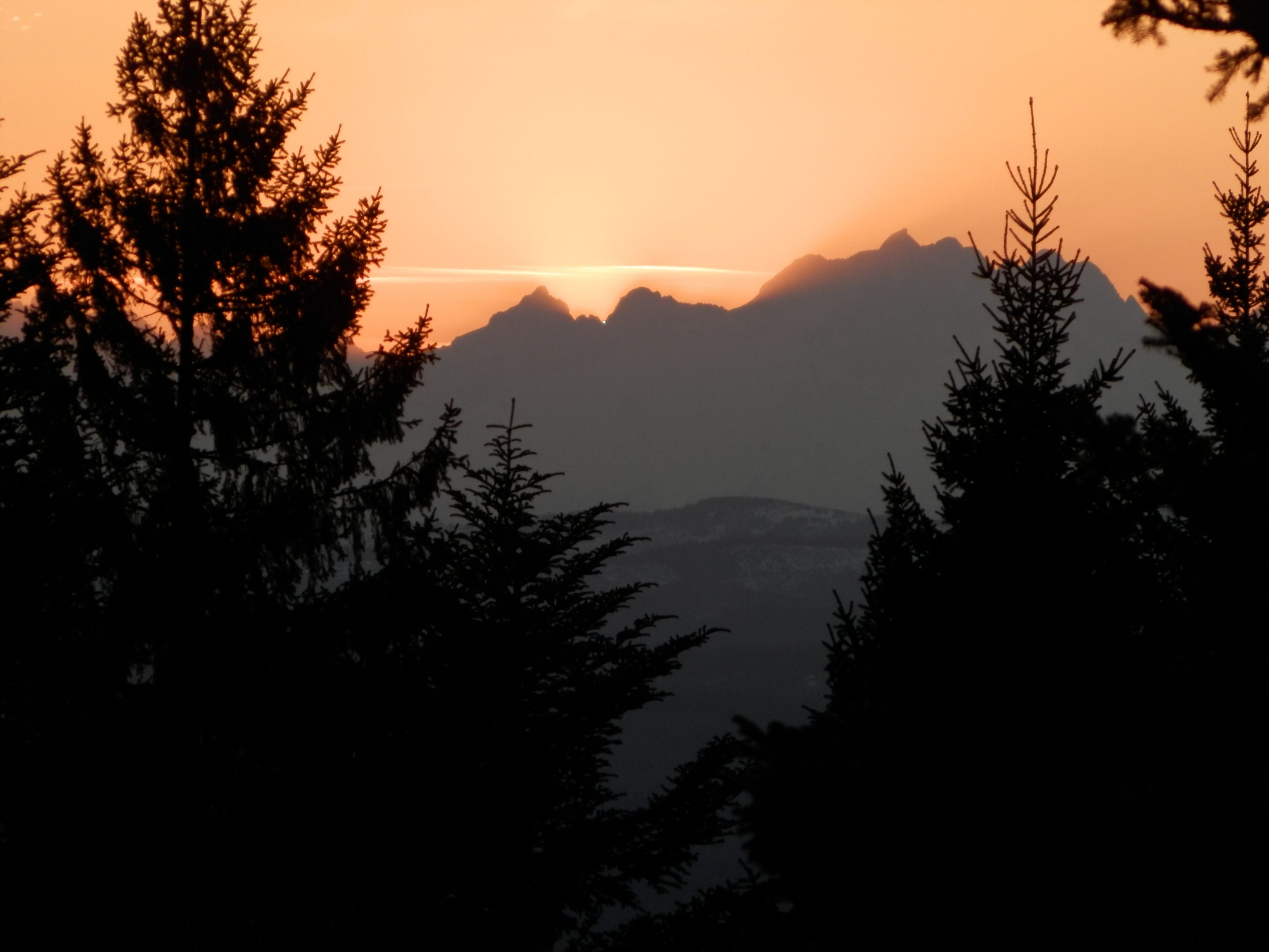 Nie musisz mówić nic. Po prostu bądź ze mną do …