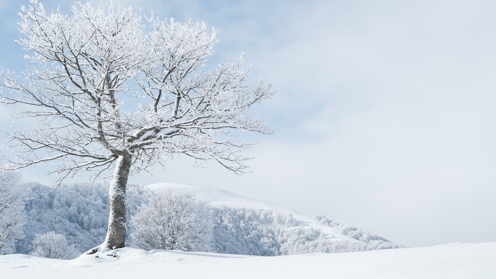 Śmierć 14-letniej dziewczynki. Żyłaby, gdyby nie ludzka znieczulica?