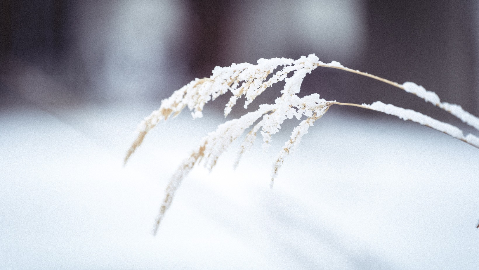 Wracają mrozy! Antycyklon Jasper namieszał!
