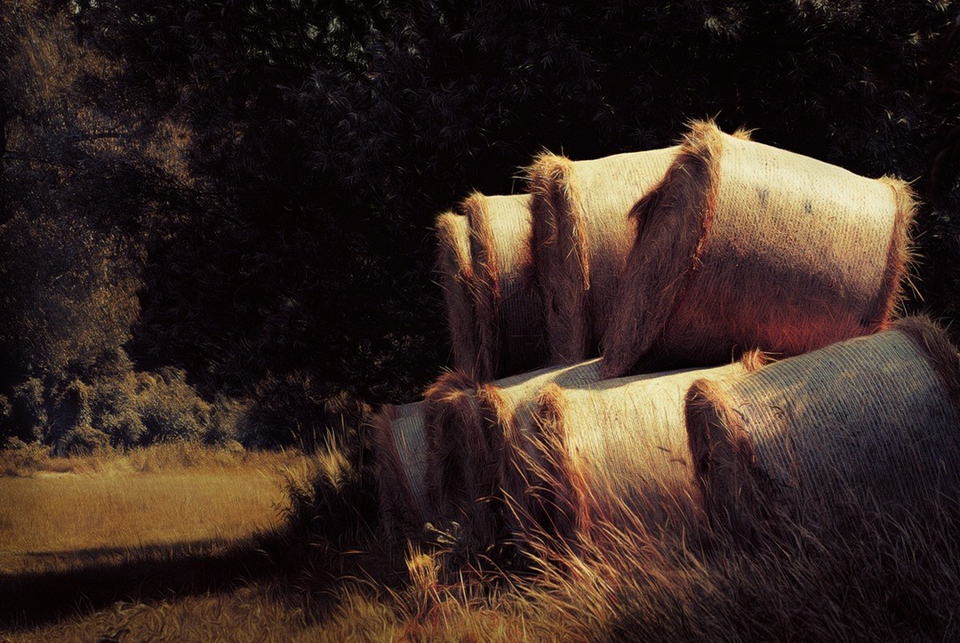 (..) śmierć jest wybawieniem od życia przepełnionego miłością.