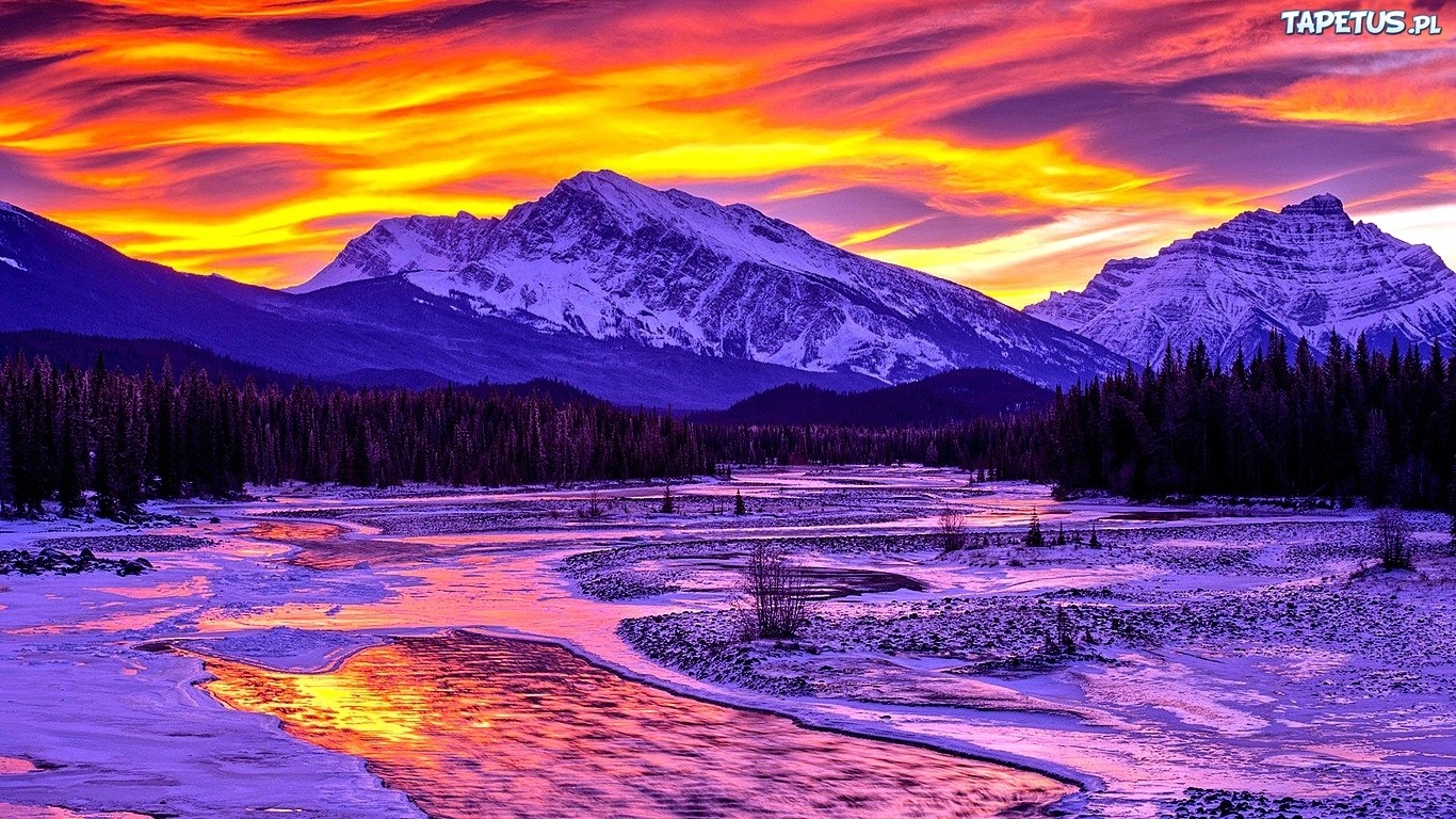 Proszę powiedz co mam zrobić. Ile jeszcze mam to znosić. …