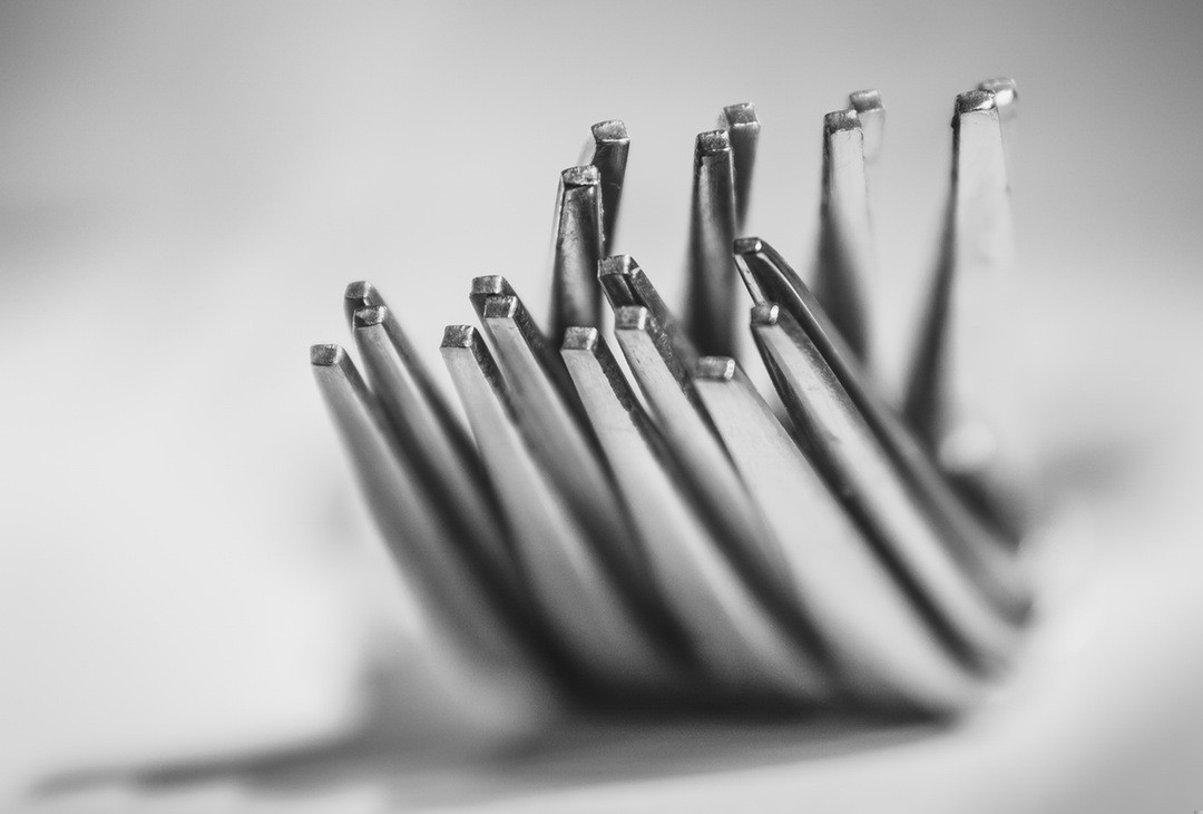 Mamy w życiu nie tylko swoje miejsce. Mamy również wyznaczony …