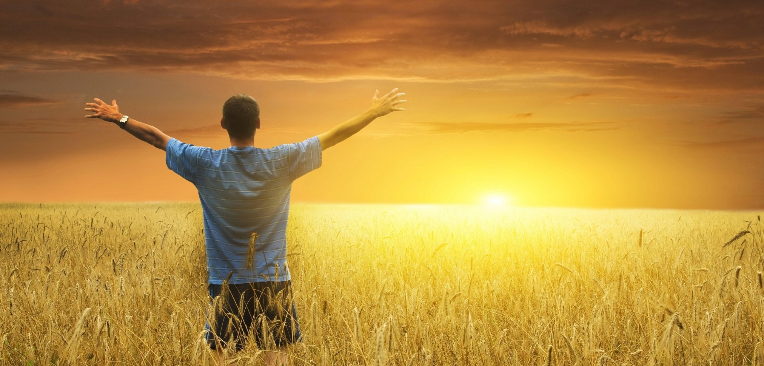 Gdzie posiało się miłość, tam wzrasta radość.