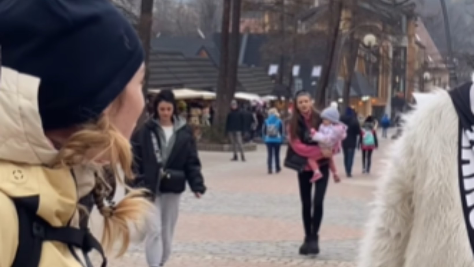 Biały Miś z Zakopanego ukarany! Znana aktorka pokazała szokujące nagranie