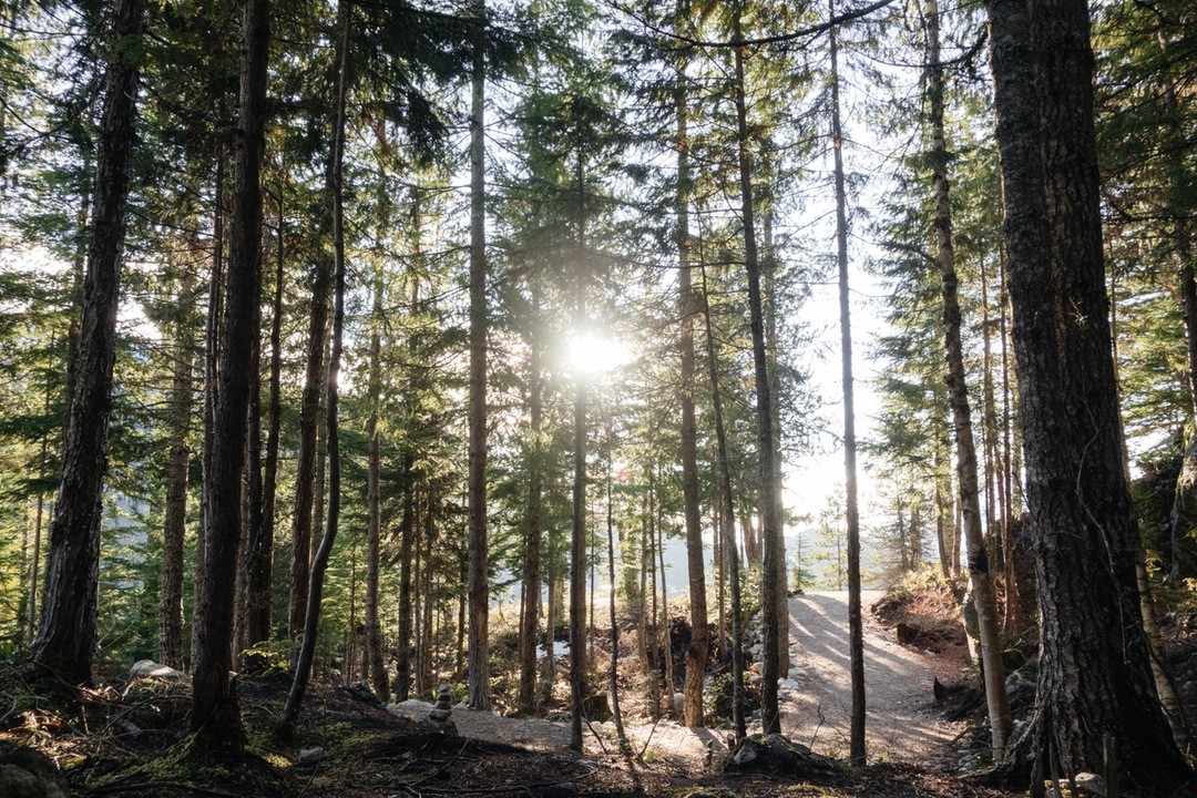 Jeśli kobieta wbiła sobie coś do głowy można tylko jej …
