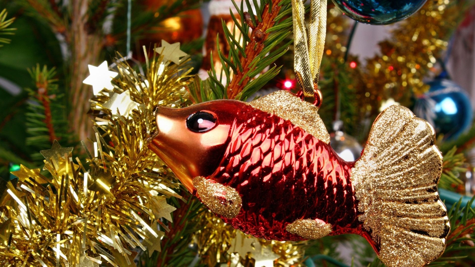 Dlaczego karp króluje na wigilijnym stole? Co symbolizuje?