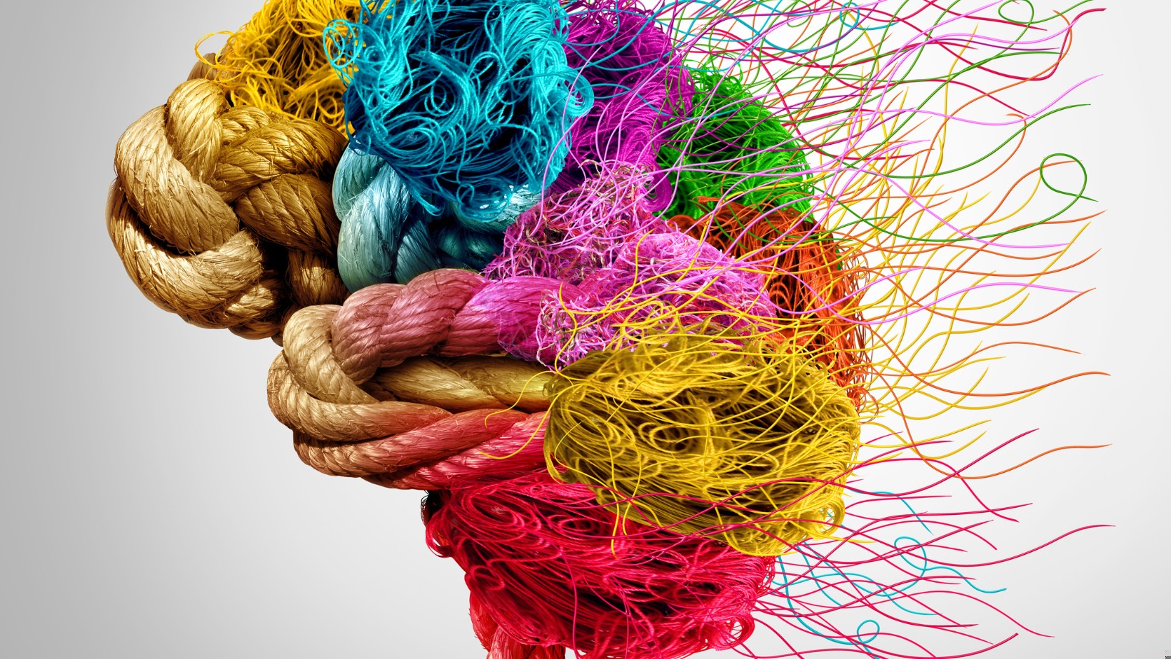 Zdjęcie Czy uważasz się za geniusza? Te 10 cech charakteryzuje ludzi inteligentnych! #1