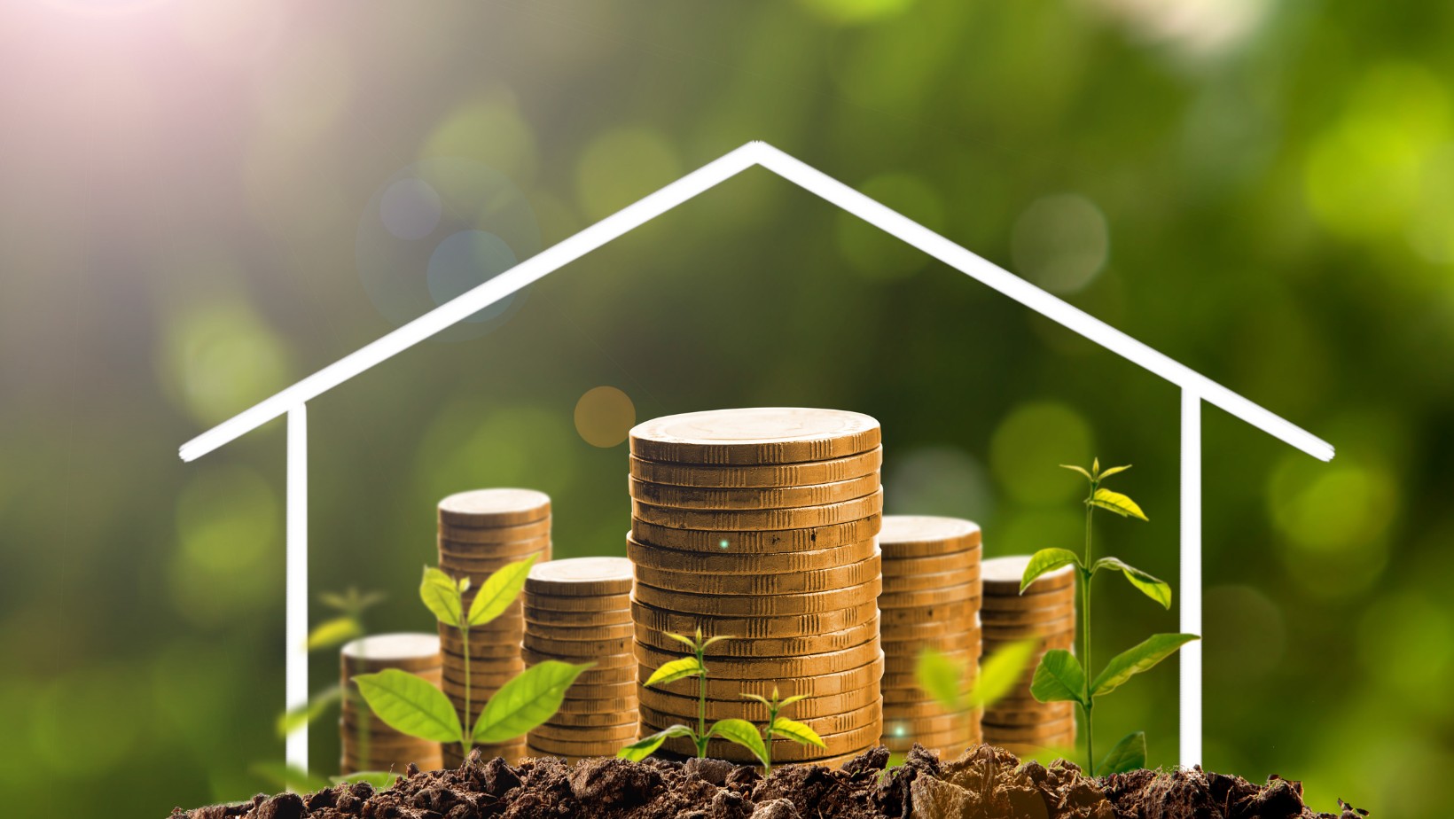 Trzymasz tą roślinę w domu? To dobrze, bo przyciąga pieniądze!