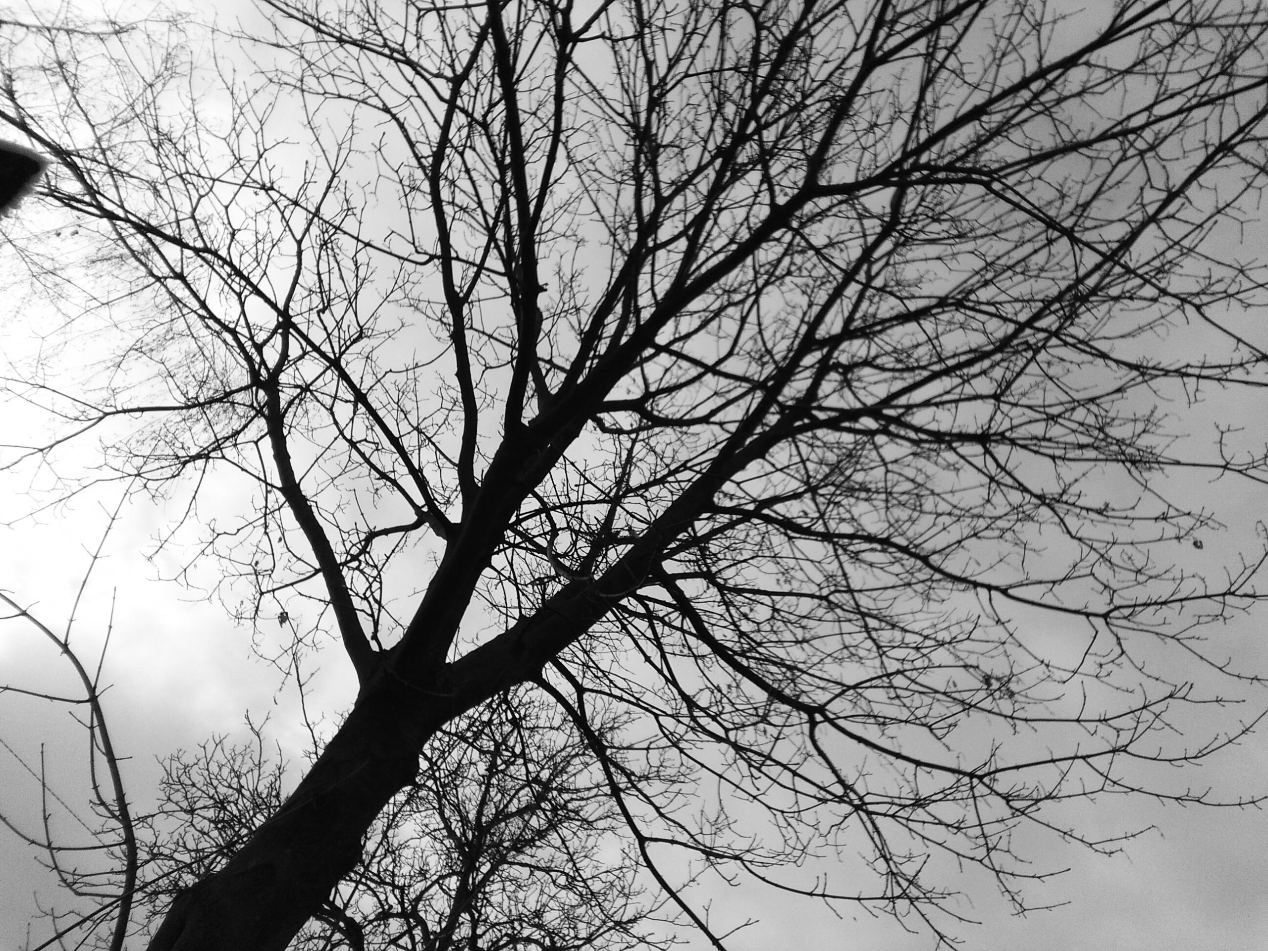 Nie nakłonisz szczęścia, żeby ci sprzyjało.