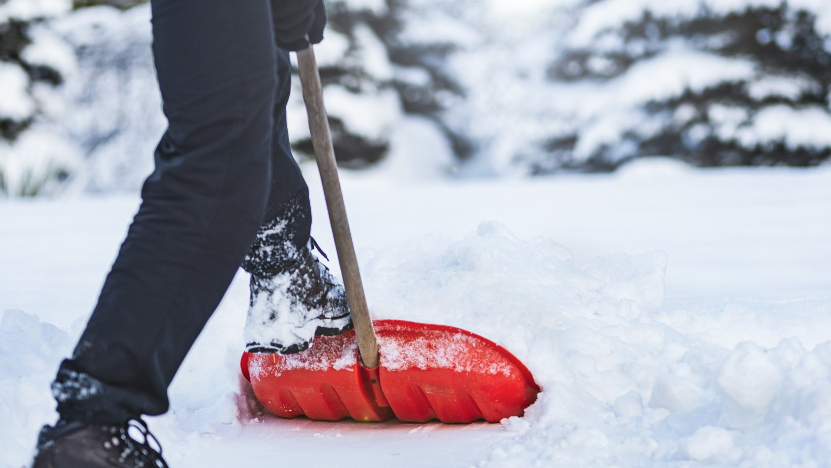 IMGW ostrzega! Fala chłodu uderza w Polskę. Wiemy, kiedy spadnie pierwszy śnieg