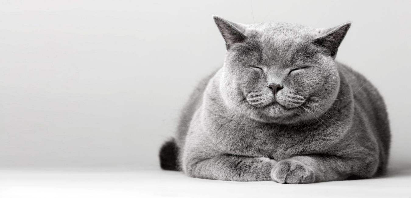 Małe przyjemności, które przynoszą wielkie szczęście