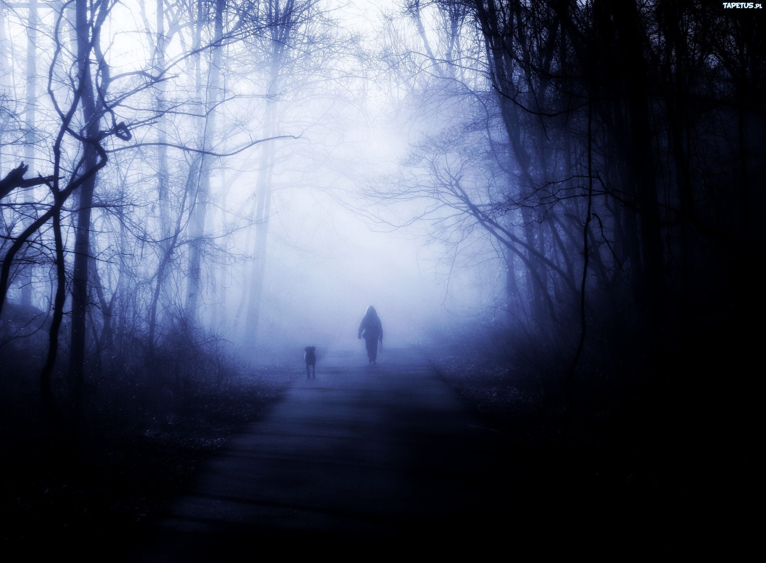 Ludzie mają irracjonalną potrzebę sprawowania kontroli. Nie dosiedli konia, żeby …