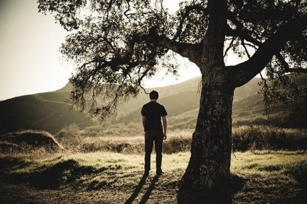 Wszyscy szukają drugiej połowy swojego serca, tymczasem większość powinna rozejrzeć …