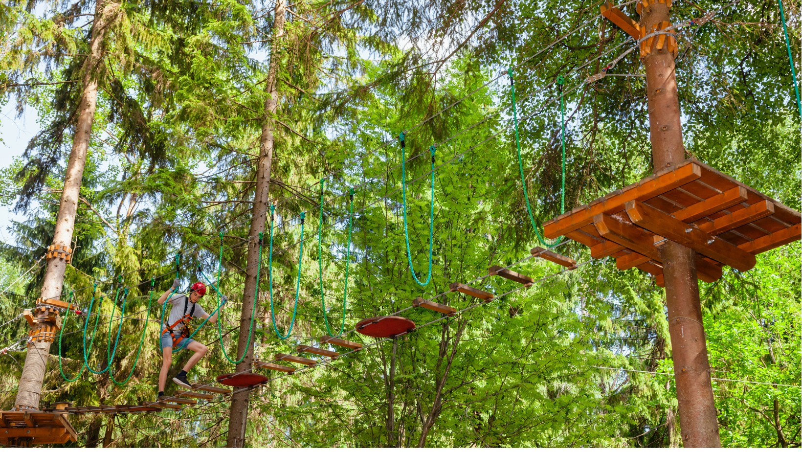 Dramat w rzeszowskim parku linowym! 11-latek zawisł na linach!