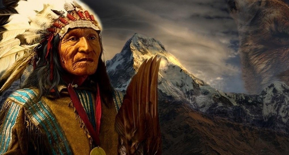 Dopiero gdy zostanie ścięte ostatnie drzewo, ostatnia rzeka zatruta a …